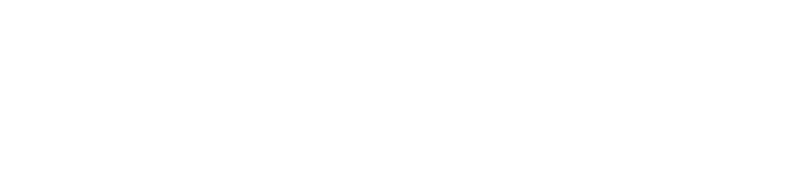 learnbay edtech logo on wise