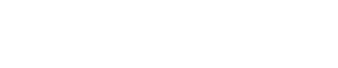 Knight Chess Academy logo wise lms